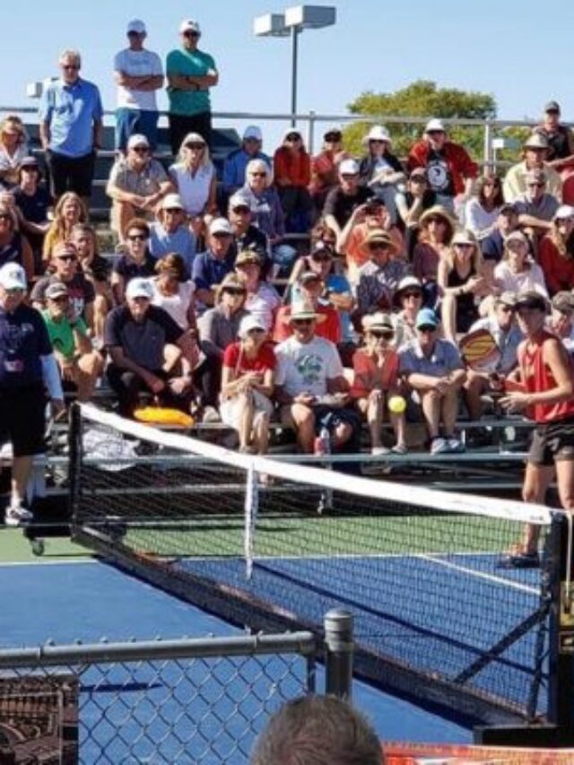 What is pickleball net size?